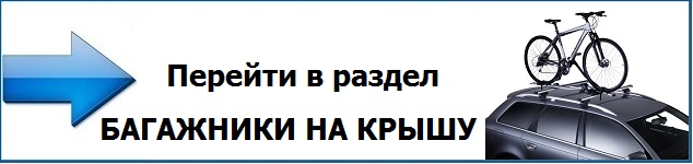 baner bagazhnik